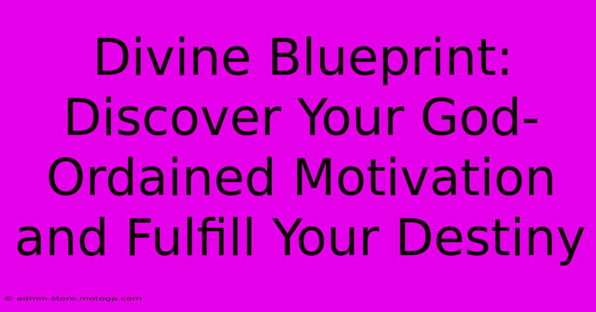 Divine Blueprint: Discover Your God-Ordained Motivation And Fulfill Your Destiny