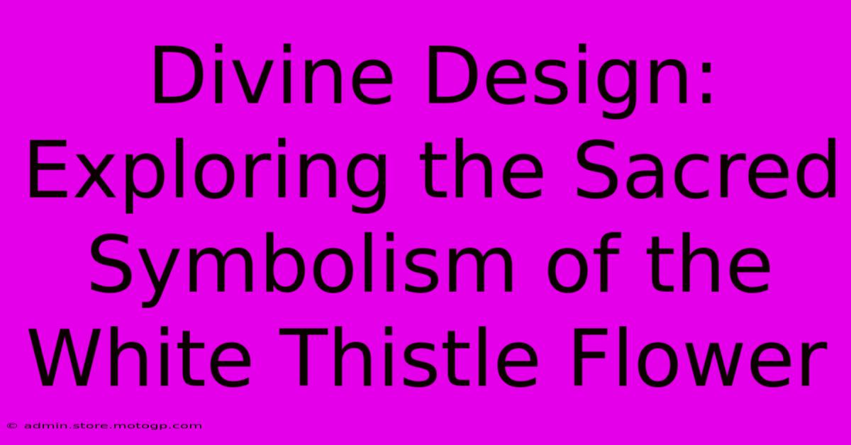 Divine Design: Exploring The Sacred Symbolism Of The White Thistle Flower