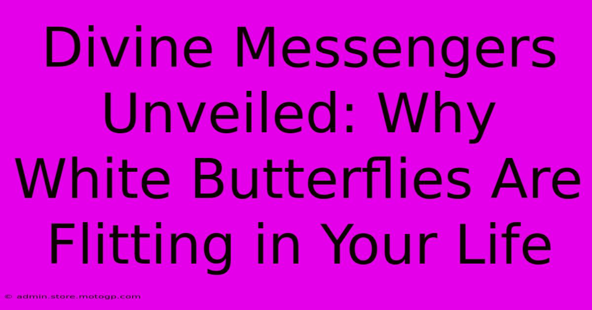 Divine Messengers Unveiled: Why White Butterflies Are Flitting In Your Life