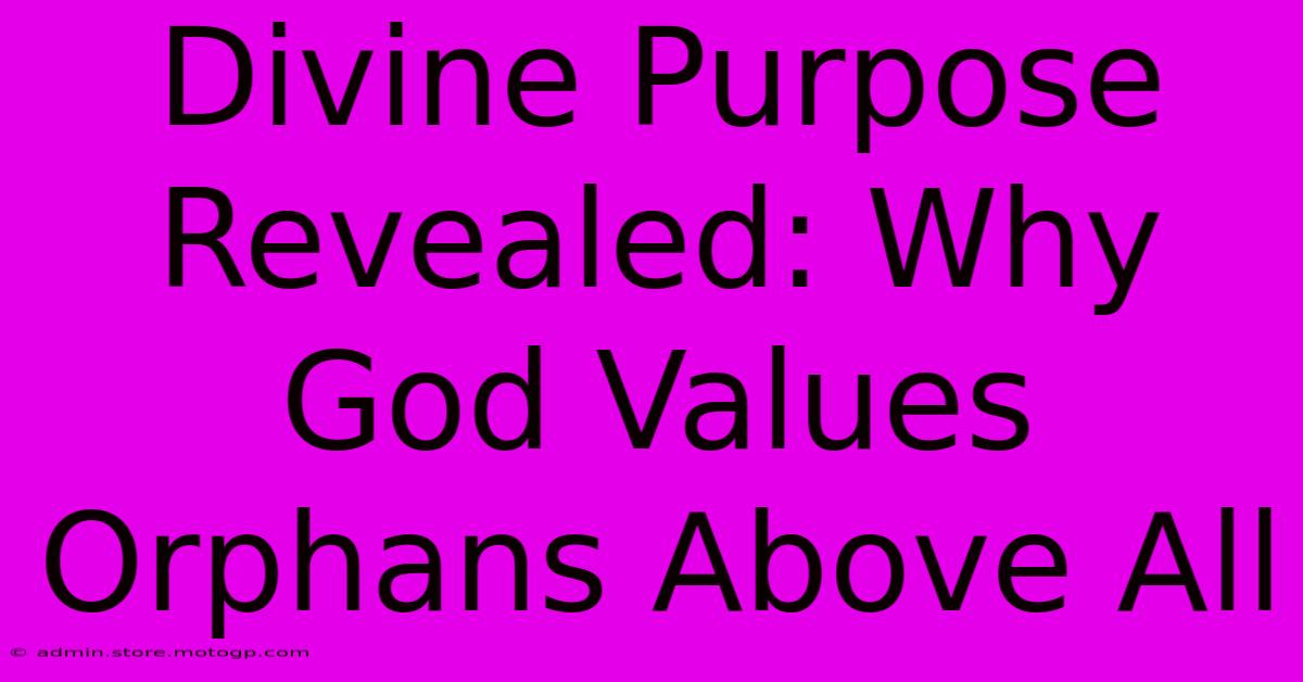 Divine Purpose Revealed: Why God Values Orphans Above All