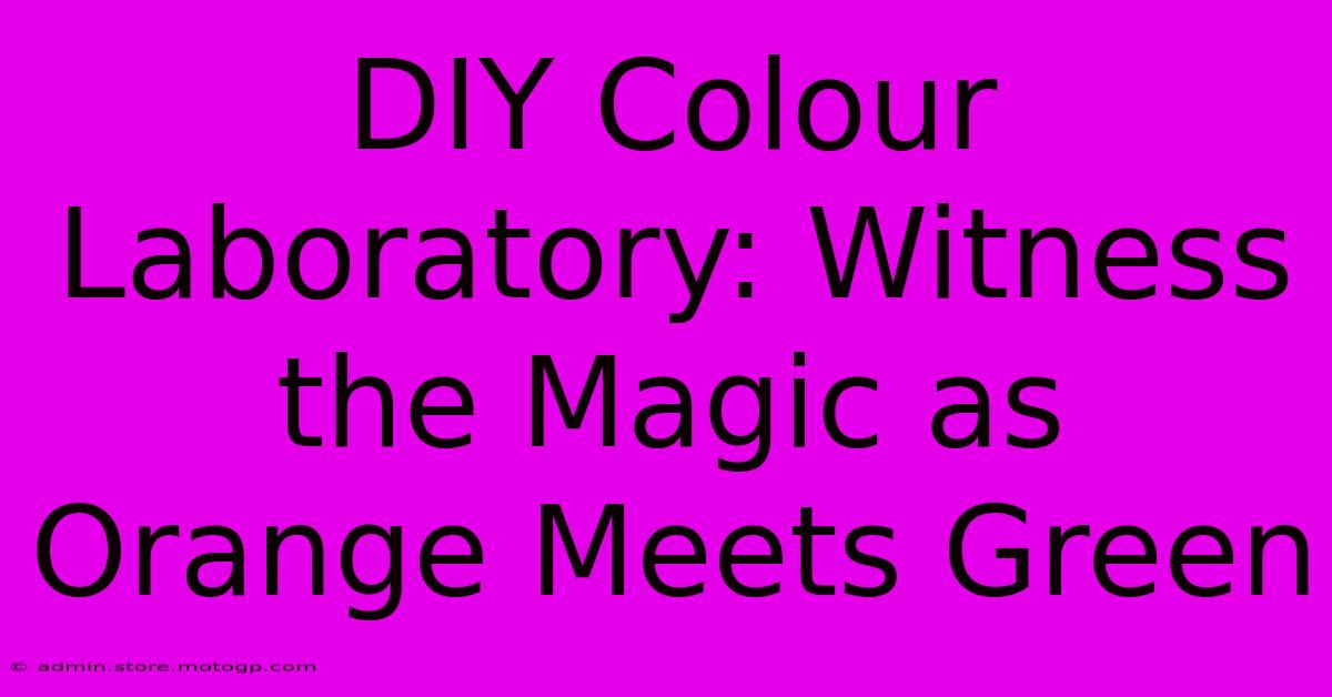 DIY Colour Laboratory: Witness The Magic As Orange Meets Green