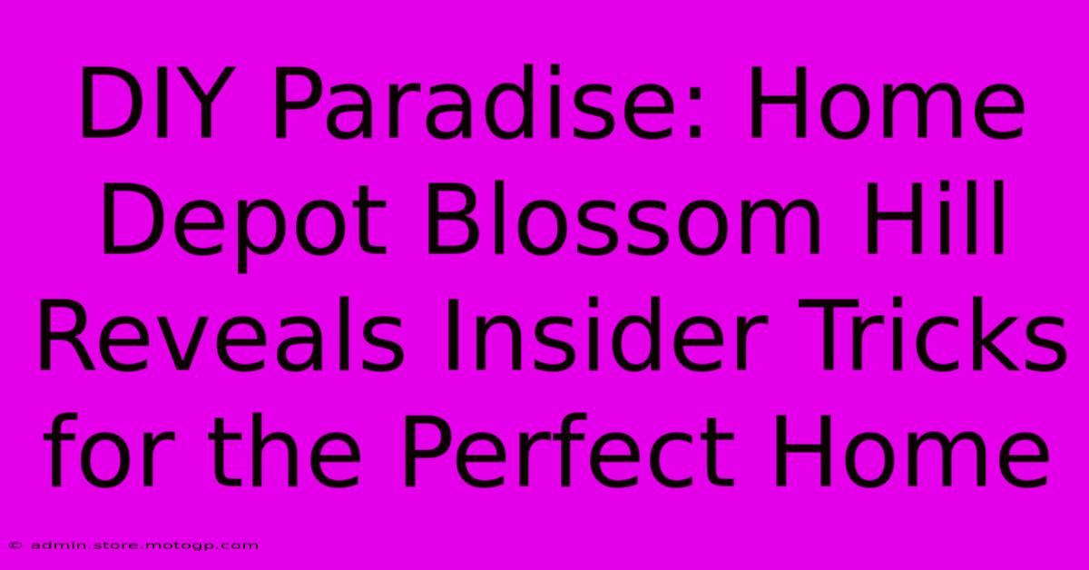 DIY Paradise: Home Depot Blossom Hill Reveals Insider Tricks For The Perfect Home