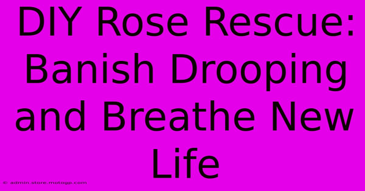 DIY Rose Rescue: Banish Drooping And Breathe New Life