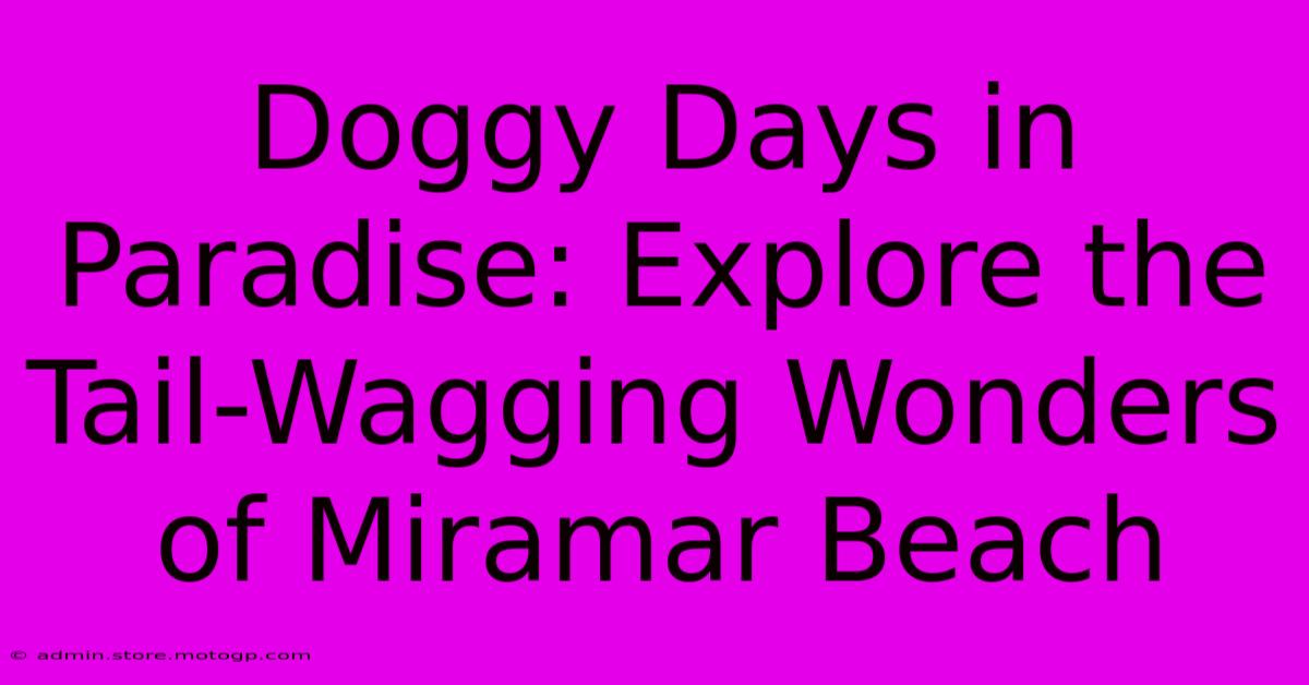 Doggy Days In Paradise: Explore The Tail-Wagging Wonders Of Miramar Beach