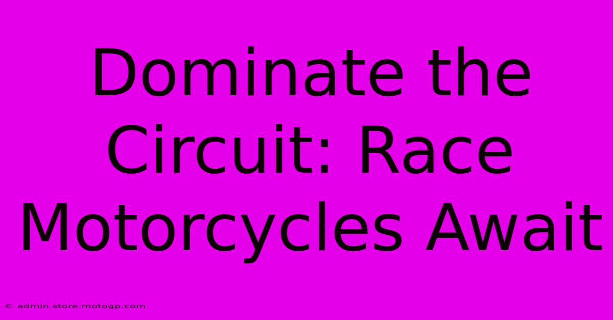 Dominate The Circuit: Race Motorcycles Await