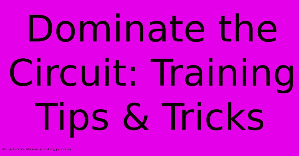 Dominate The Circuit: Training Tips & Tricks