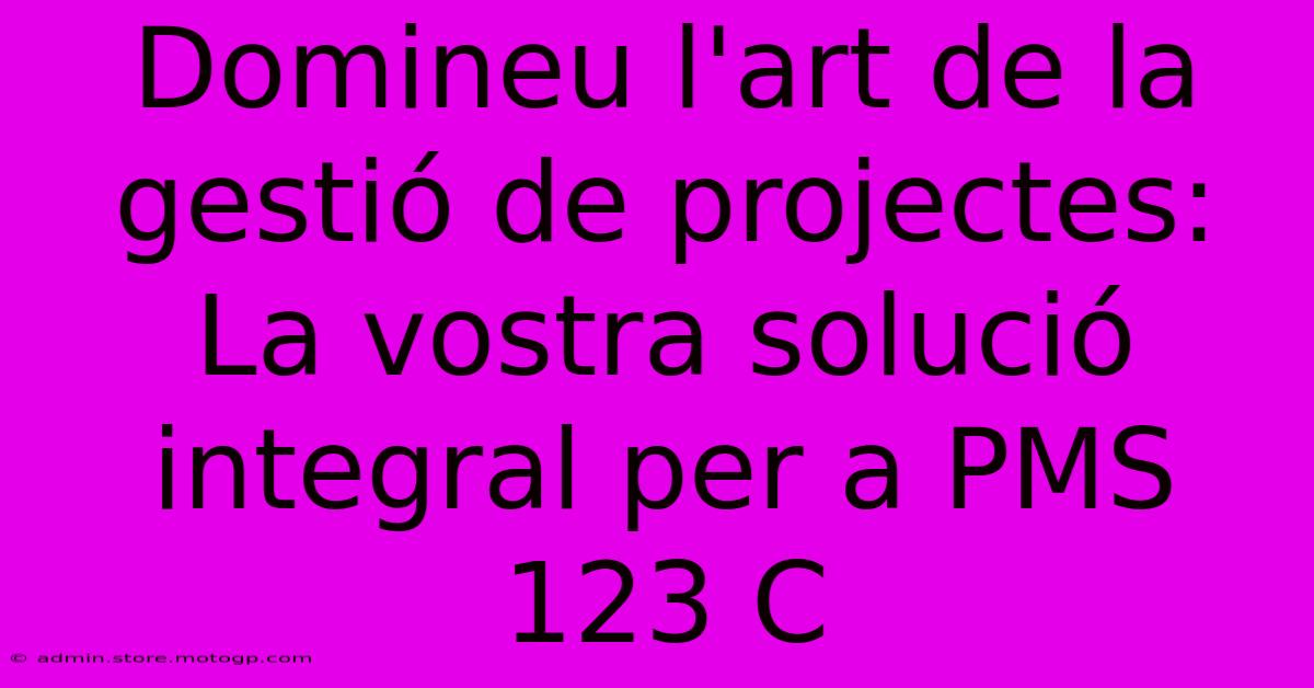 Domineu L'art De La Gestió De Projectes: La Vostra Solució Integral Per A PMS 123 C