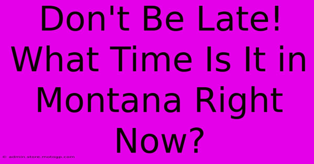 Don't Be Late! What Time Is It In Montana Right Now?