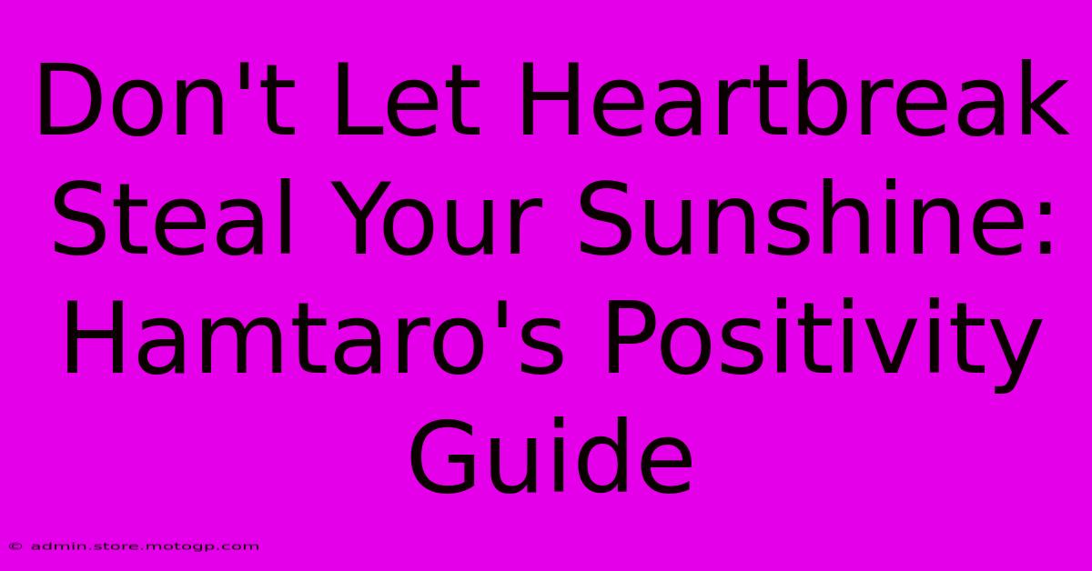 Don't Let Heartbreak Steal Your Sunshine: Hamtaro's Positivity Guide