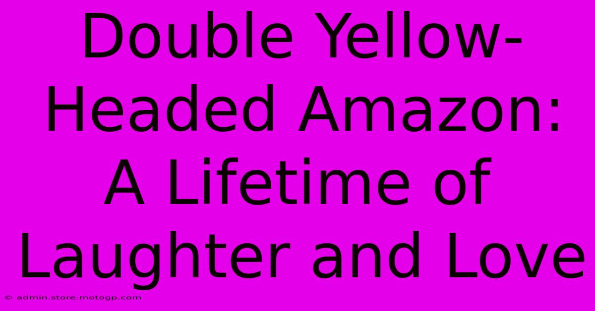 Double Yellow-Headed Amazon:  A Lifetime Of Laughter And Love