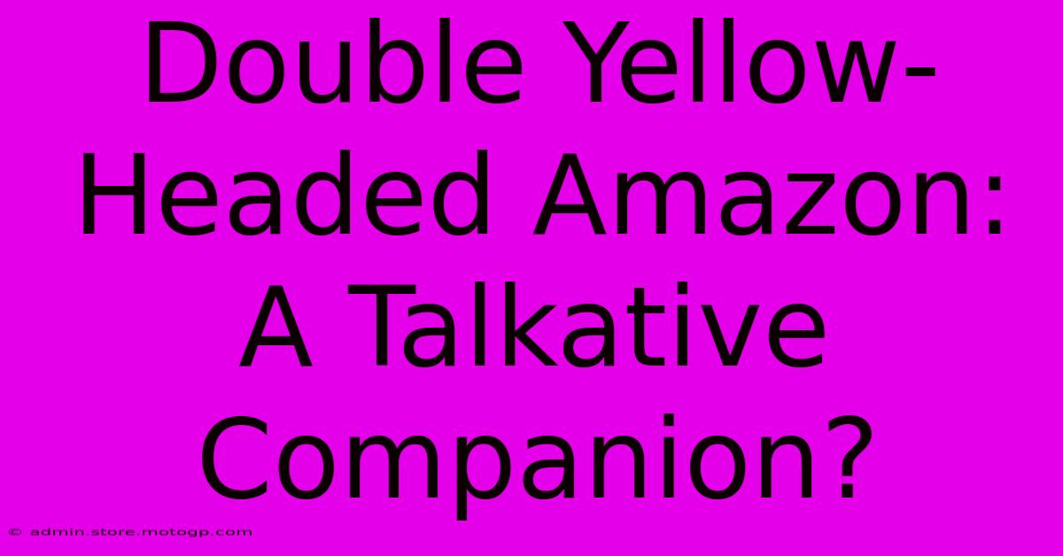 Double Yellow-Headed Amazon: A Talkative Companion?