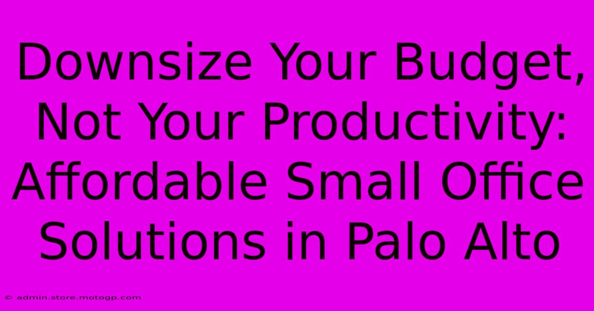 Downsize Your Budget, Not Your Productivity: Affordable Small Office Solutions In Palo Alto