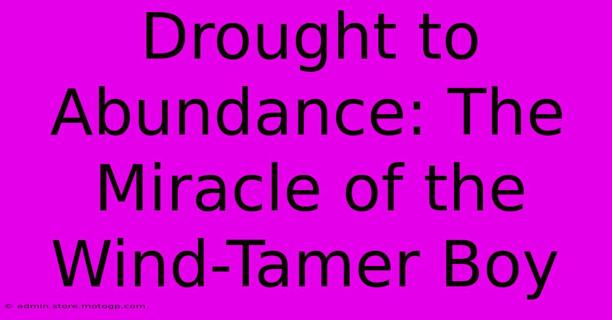 Drought To Abundance: The Miracle Of The Wind-Tamer Boy