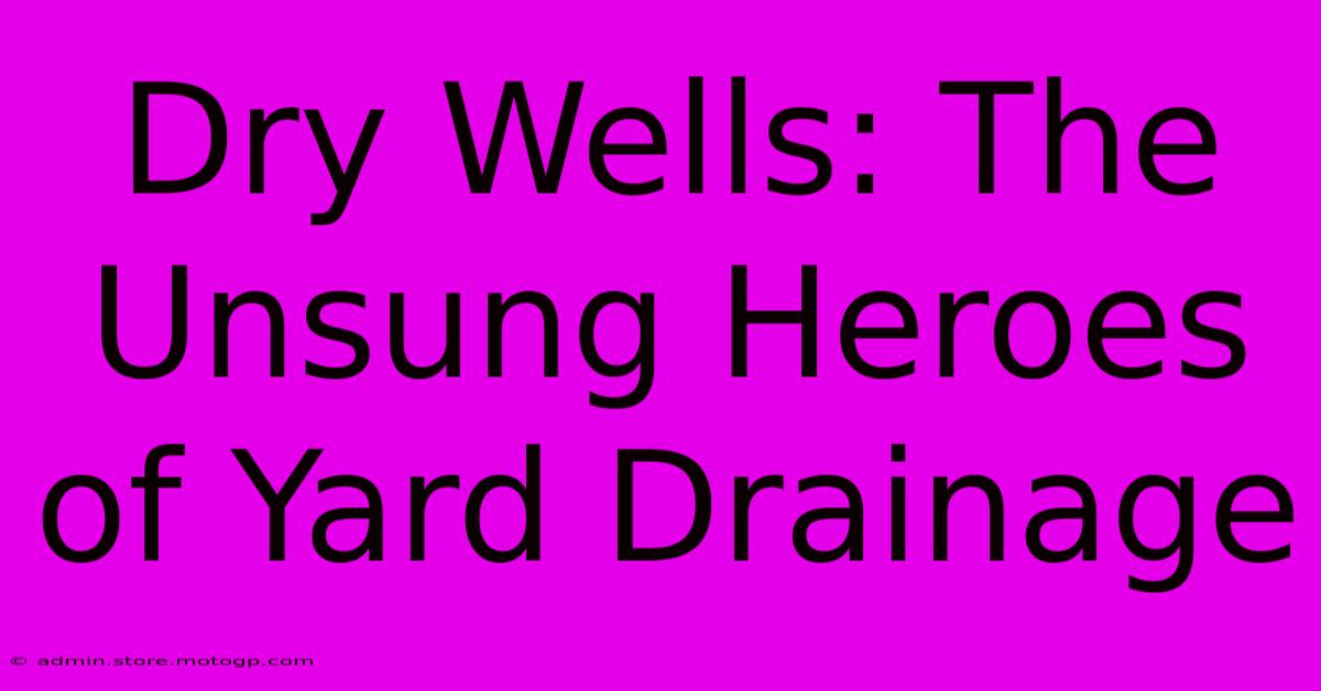 Dry Wells: The Unsung Heroes Of Yard Drainage