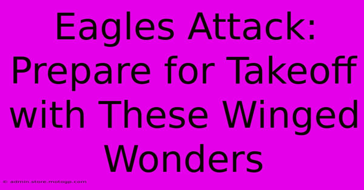 Eagles Attack: Prepare For Takeoff With These Winged Wonders