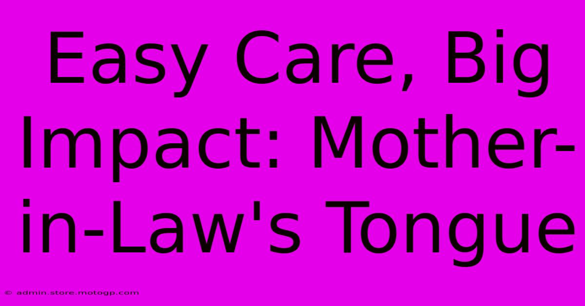 Easy Care, Big Impact: Mother-in-Law's Tongue