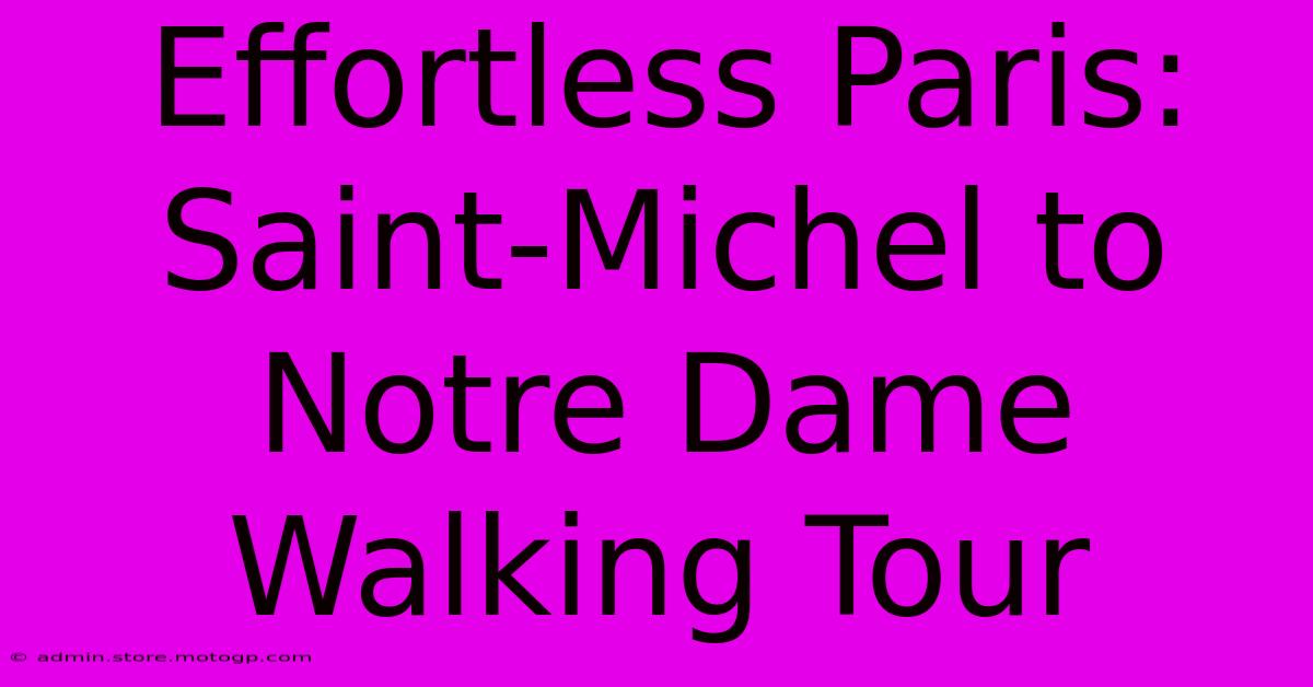 Effortless Paris: Saint-Michel To Notre Dame Walking Tour