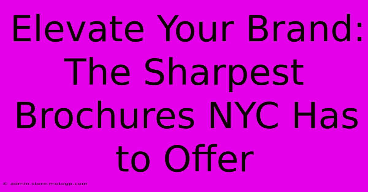 Elevate Your Brand: The Sharpest Brochures NYC Has To Offer