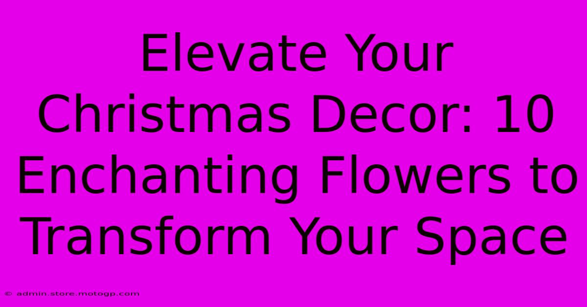 Elevate Your Christmas Decor: 10 Enchanting Flowers To Transform Your Space