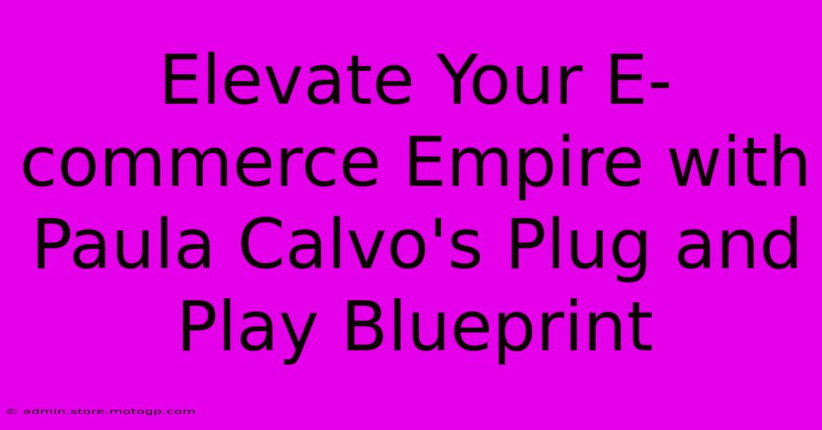 Elevate Your E-commerce Empire With Paula Calvo's Plug And Play Blueprint