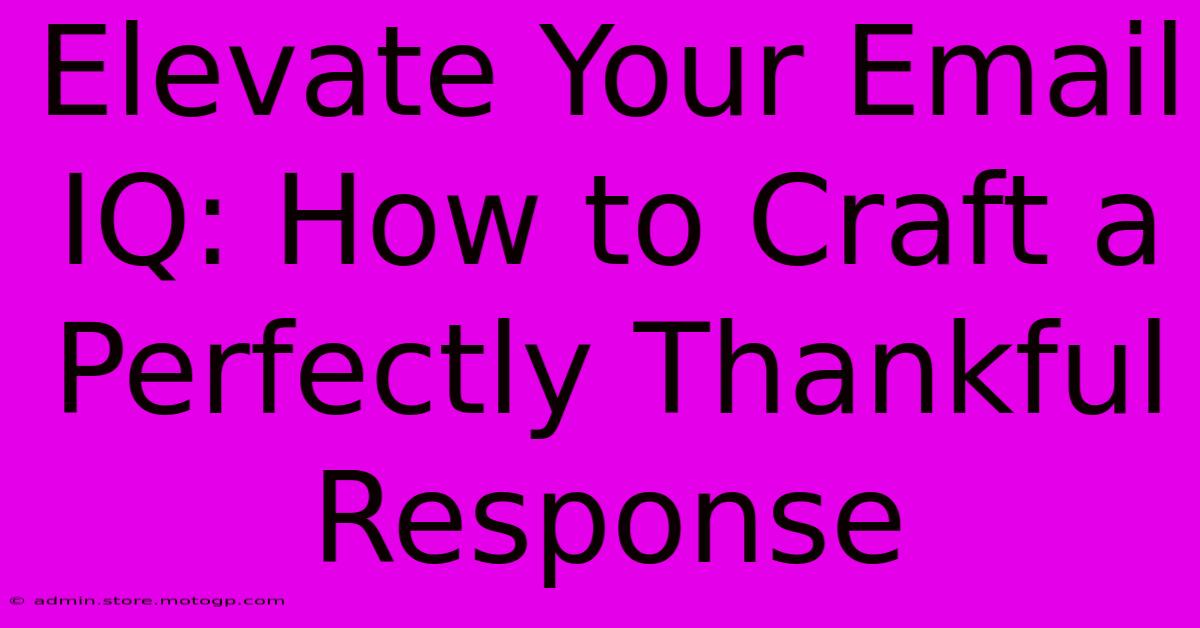 Elevate Your Email IQ: How To Craft A Perfectly Thankful Response