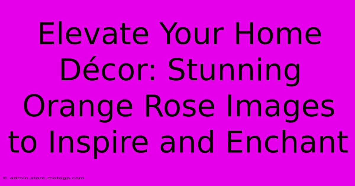 Elevate Your Home Décor: Stunning Orange Rose Images To Inspire And Enchant