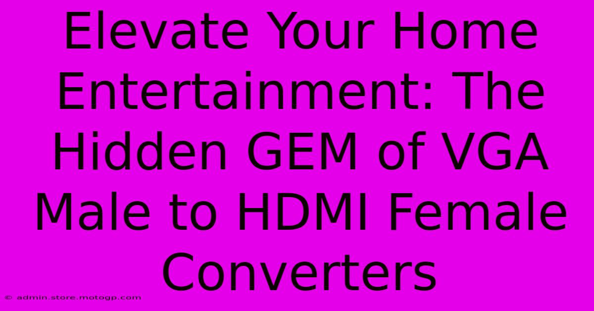 Elevate Your Home Entertainment: The Hidden GEM Of VGA Male To HDMI Female Converters