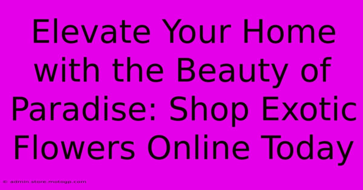 Elevate Your Home With The Beauty Of Paradise: Shop Exotic Flowers Online Today