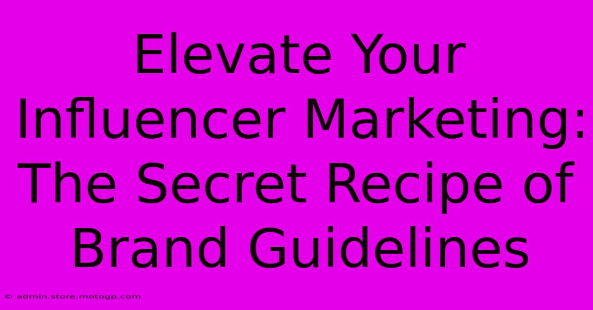 Elevate Your Influencer Marketing: The Secret Recipe Of Brand Guidelines