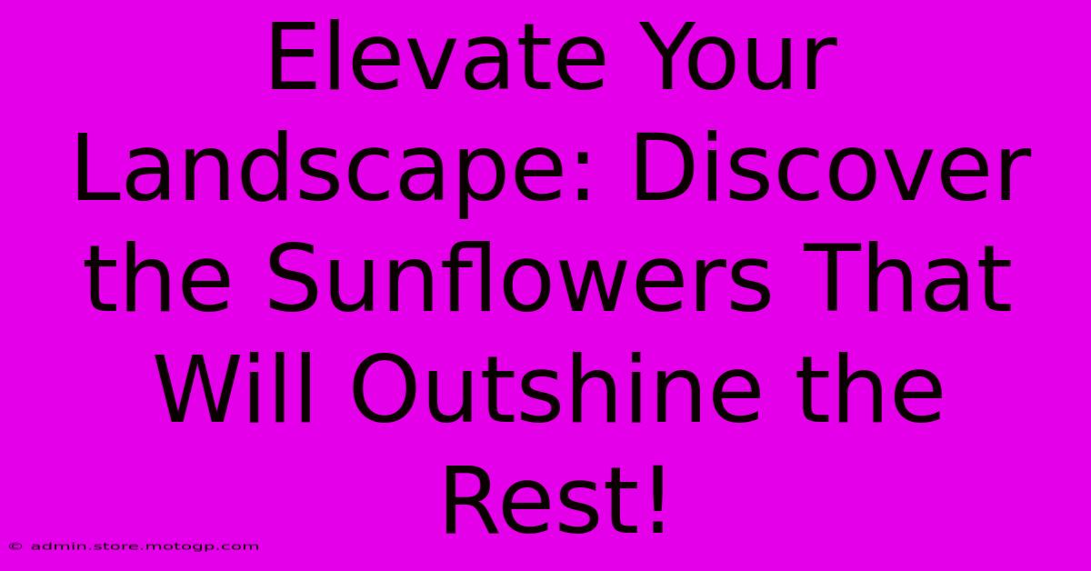 Elevate Your Landscape: Discover The Sunflowers That Will Outshine The Rest!