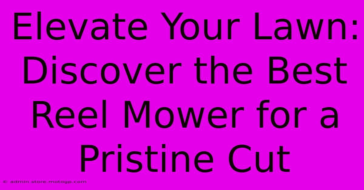 Elevate Your Lawn: Discover The Best Reel Mower For A Pristine Cut