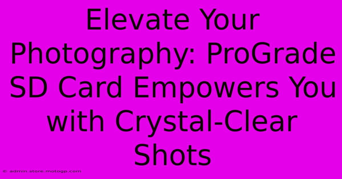 Elevate Your Photography: ProGrade SD Card Empowers You With Crystal-Clear Shots