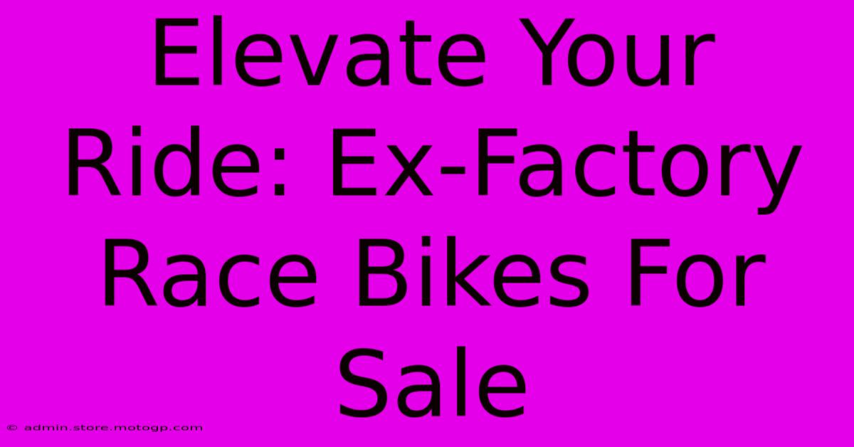 Elevate Your Ride: Ex-Factory Race Bikes For Sale