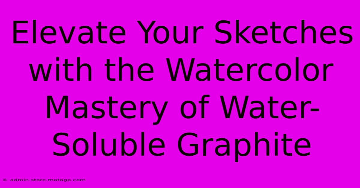 Elevate Your Sketches With The Watercolor Mastery Of Water-Soluble Graphite