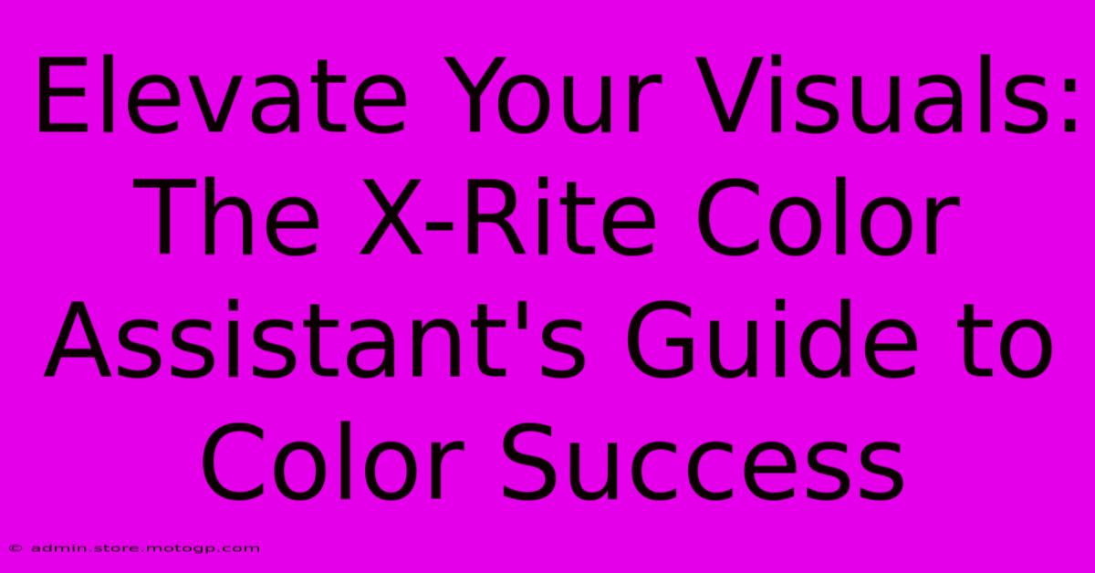 Elevate Your Visuals: The X-Rite Color Assistant's Guide To Color Success