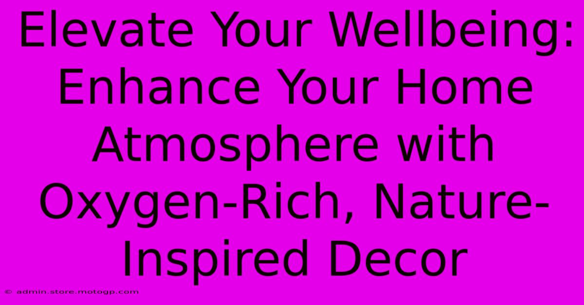 Elevate Your Wellbeing: Enhance Your Home Atmosphere With Oxygen-Rich, Nature-Inspired Decor