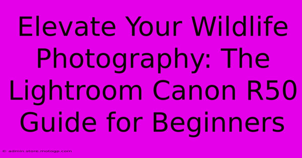 Elevate Your Wildlife Photography: The Lightroom Canon R50 Guide For Beginners