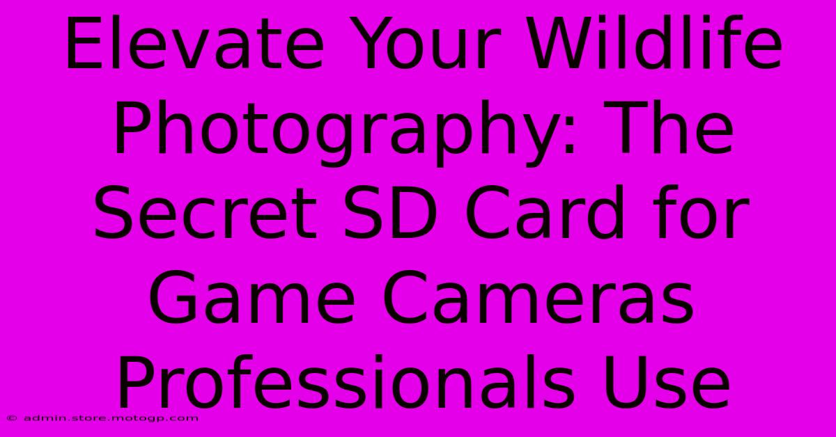 Elevate Your Wildlife Photography: The Secret SD Card For Game Cameras Professionals Use