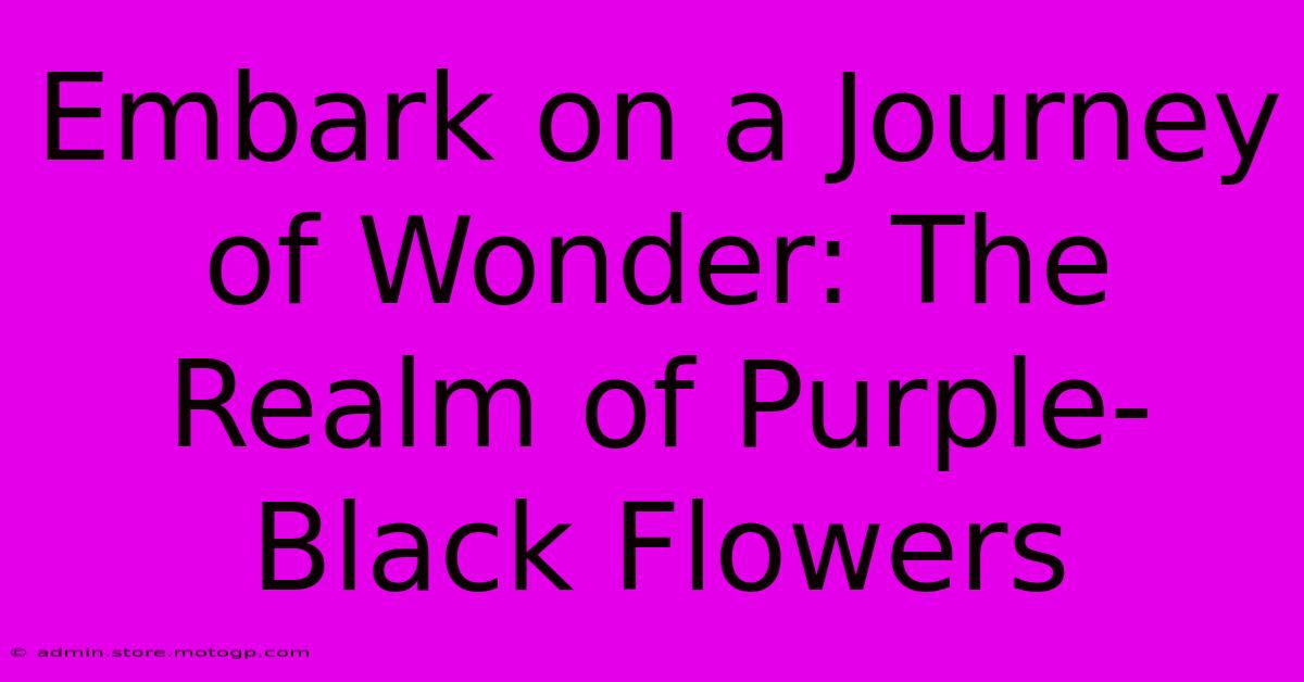 Embark On A Journey Of Wonder: The Realm Of Purple-Black Flowers