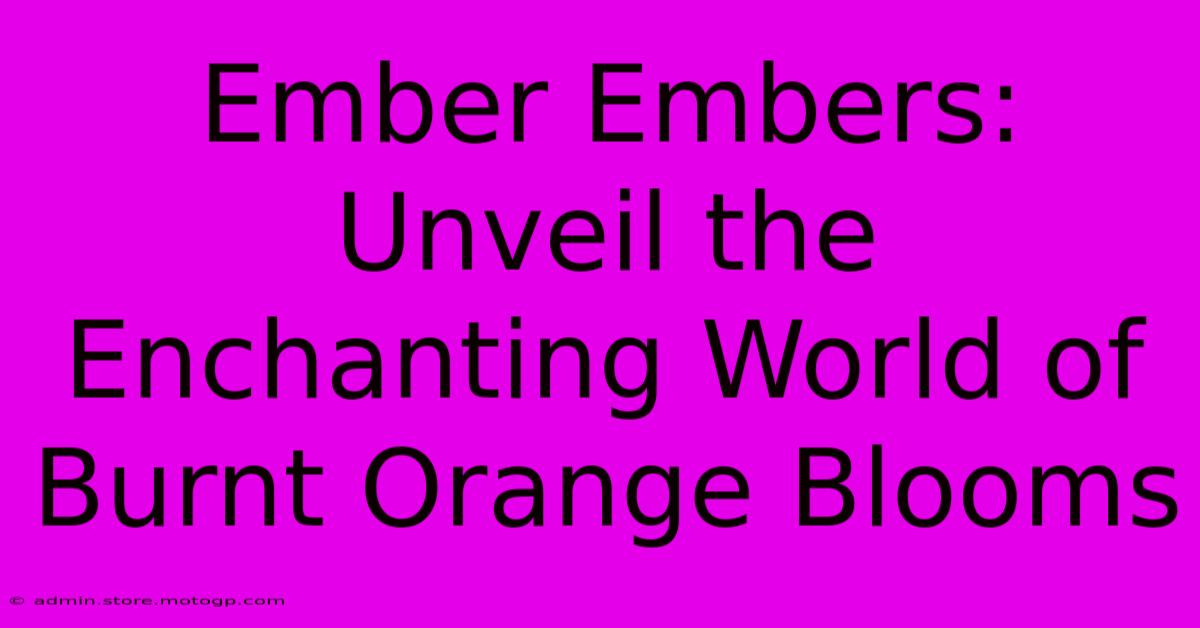 Ember Embers: Unveil The Enchanting World Of Burnt Orange Blooms