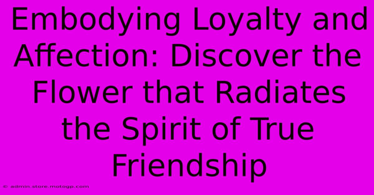 Embodying Loyalty And Affection: Discover The Flower That Radiates The Spirit Of True Friendship