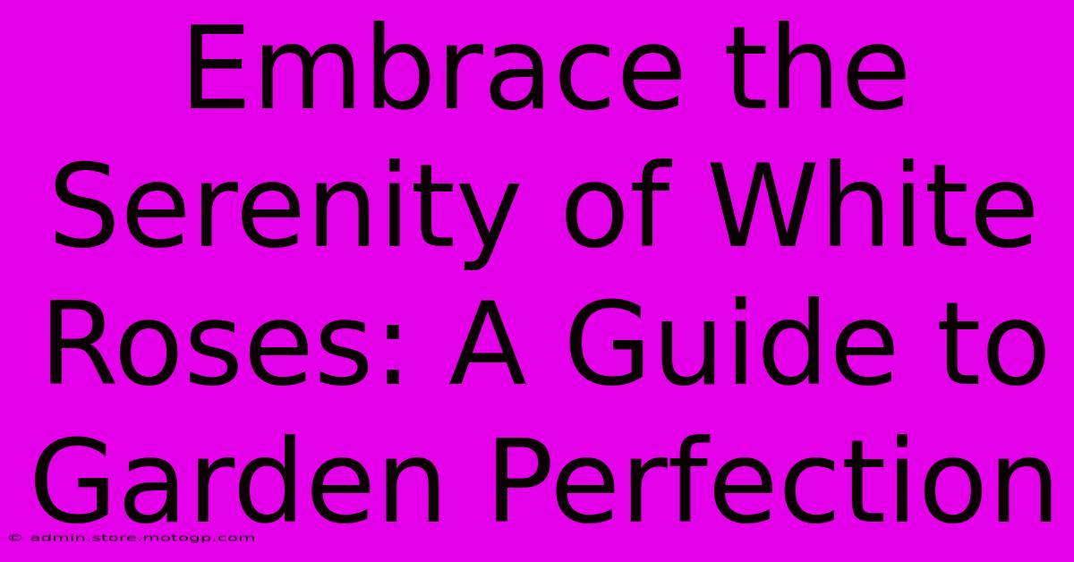 Embrace The Serenity Of White Roses: A Guide To Garden Perfection