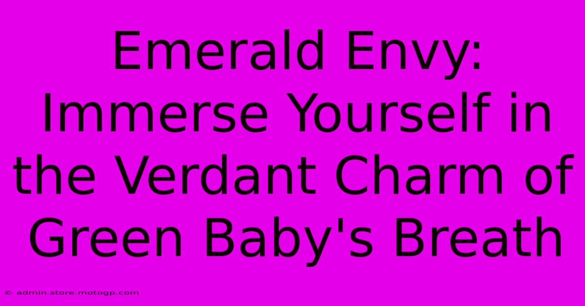 Emerald Envy: Immerse Yourself In The Verdant Charm Of Green Baby's Breath