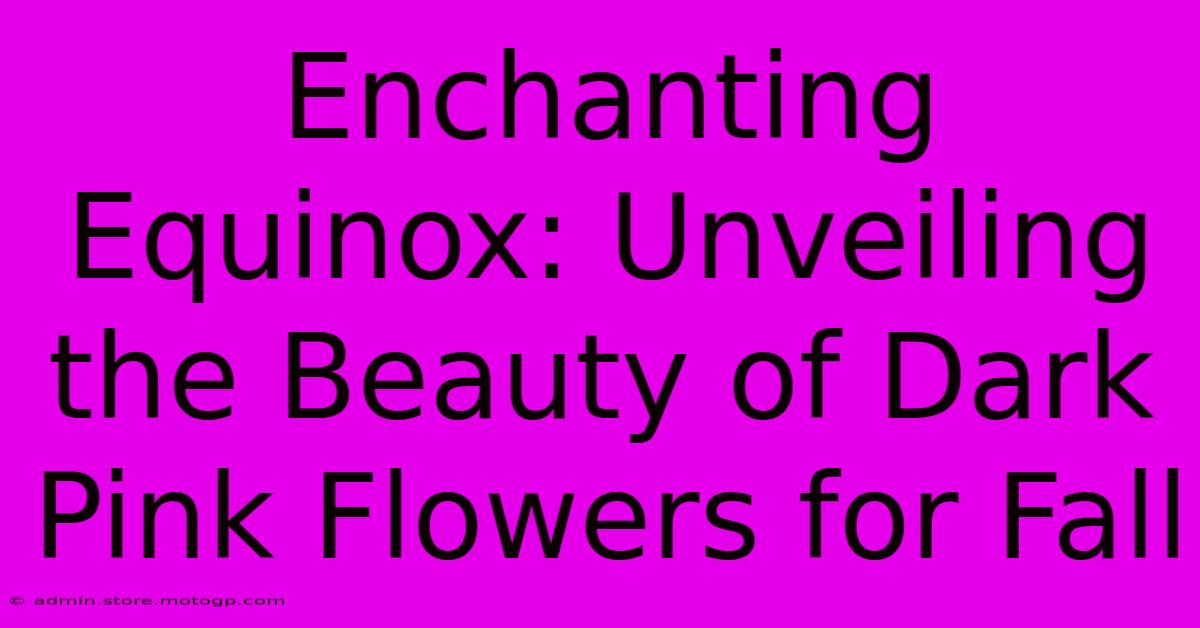 Enchanting Equinox: Unveiling The Beauty Of Dark Pink Flowers For Fall