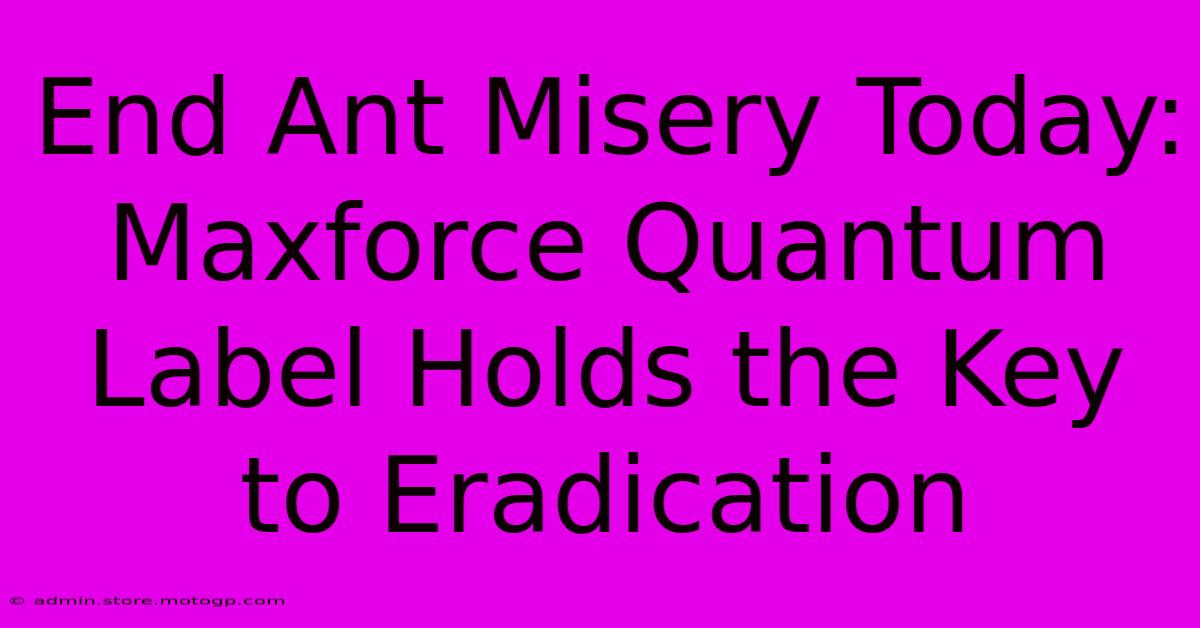 End Ant Misery Today: Maxforce Quantum Label Holds The Key To Eradication