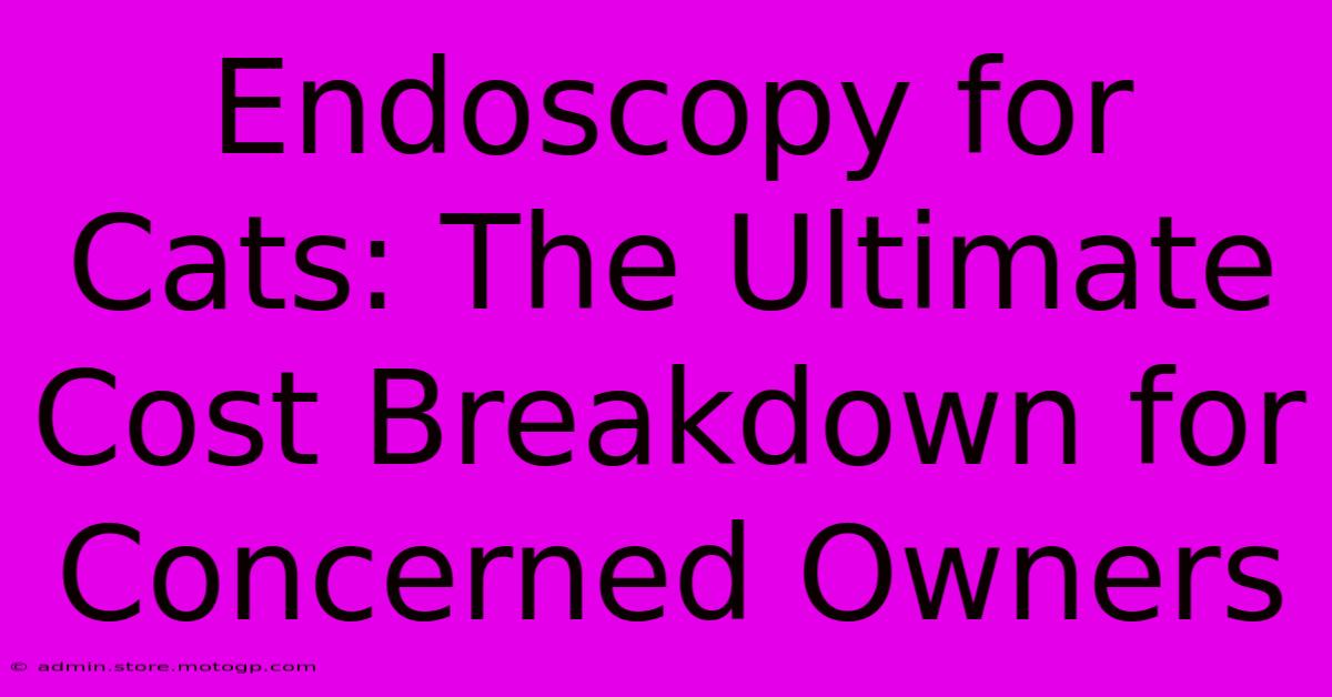 Endoscopy For Cats: The Ultimate Cost Breakdown For Concerned Owners