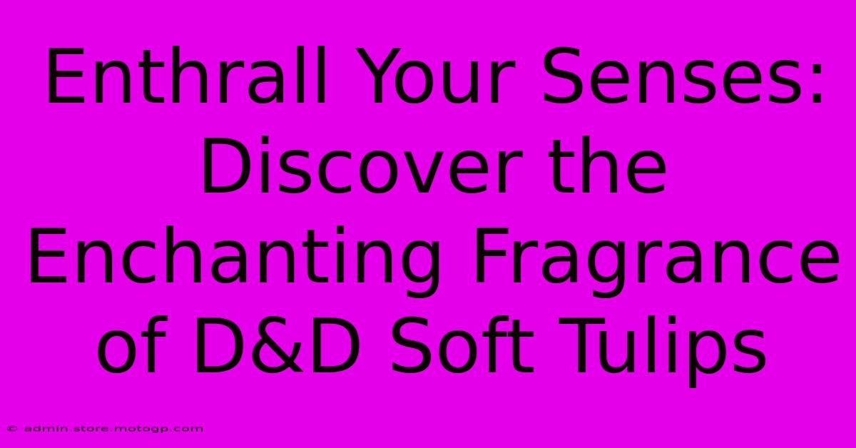 Enthrall Your Senses: Discover The Enchanting Fragrance Of D&D Soft Tulips