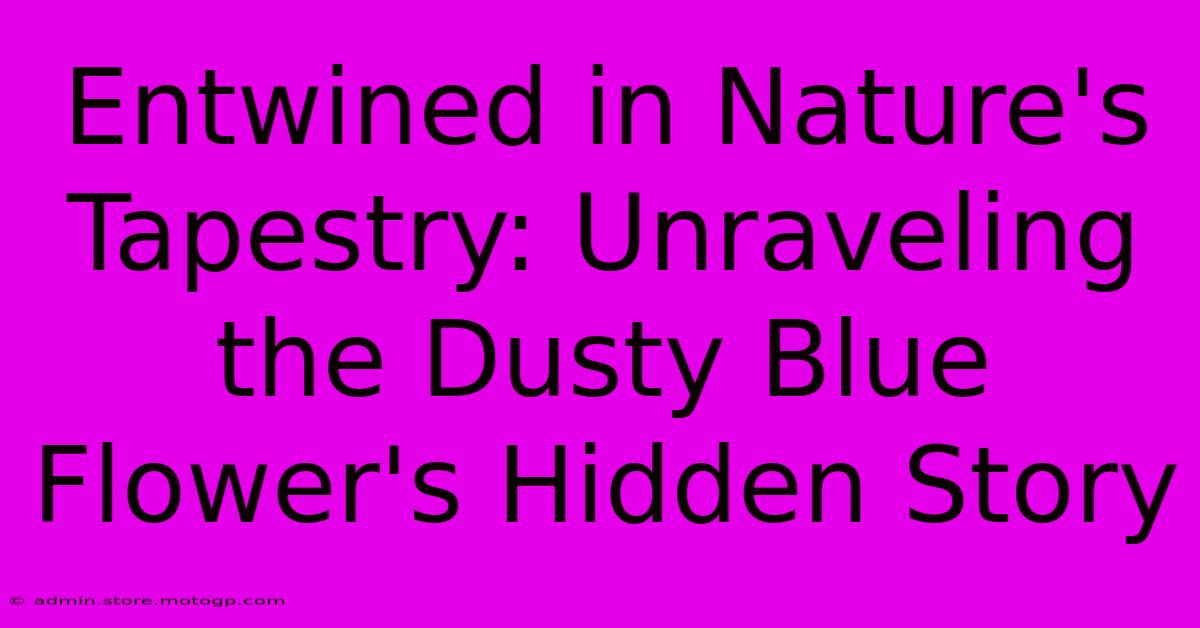 Entwined In Nature's Tapestry: Unraveling The Dusty Blue Flower's Hidden Story