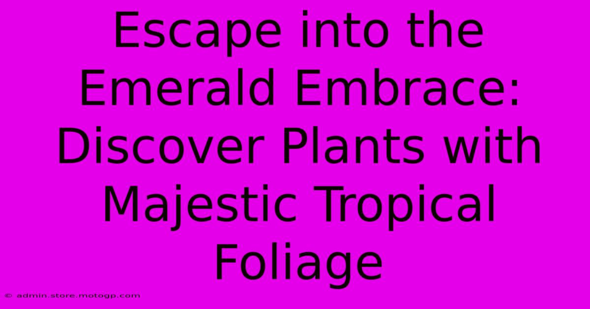 Escape Into The Emerald Embrace: Discover Plants With Majestic Tropical Foliage