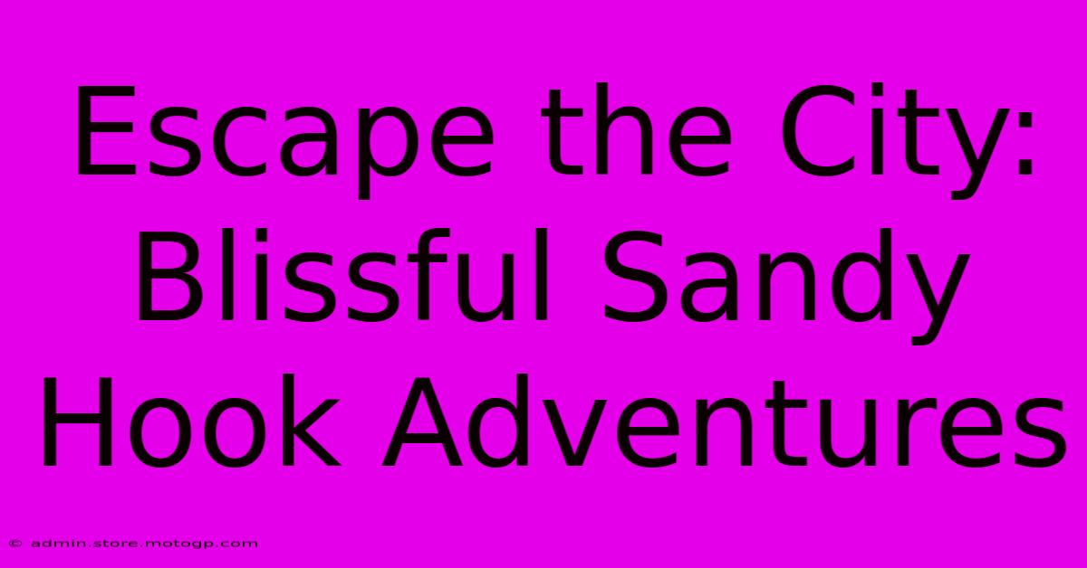 Escape The City: Blissful Sandy Hook Adventures